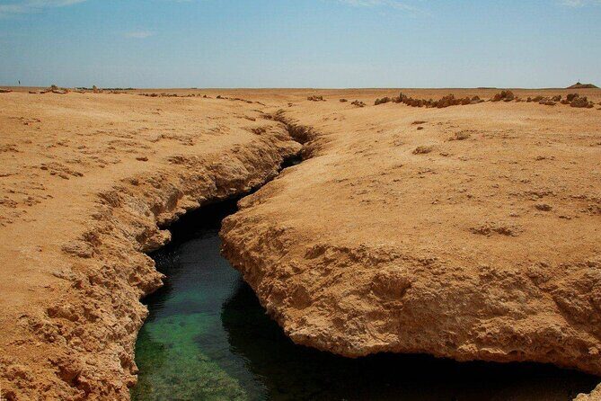 Ras Mohamed National Park Half Day Tour by Bus In Sharm El Sheikh - Who Is This Tour Best For?