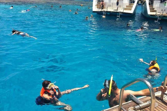 Ras Mohamed Park and the White Island snorkeling tour by boat - Key Points