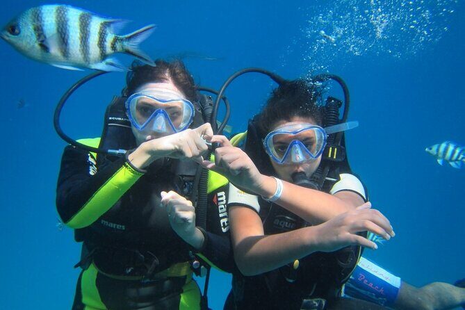 Ras Mohamed & White Island, Snorkeling & Diving - Sharm el sheikh - Key Points  