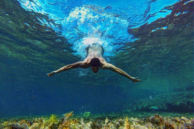 Ras Mohamed & White Island, Snorkeling & Diving - Sharm el sheikh - Detailed Breakdown of the Experience  