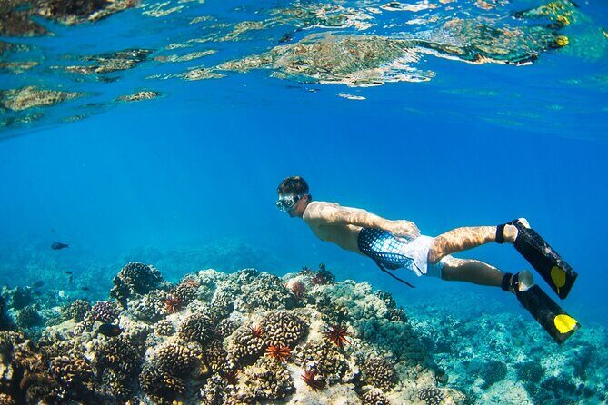 Ras Mohamed & White Island, Snorkeling & Diving - Sharm el sheikh - The Sum Up  