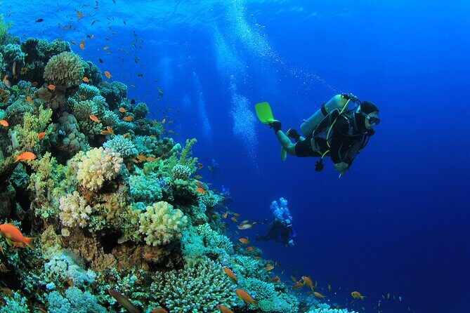 Ras Mohamed & White Island, Snorkeling & Diving - Sharm el sheikh - FAQ  