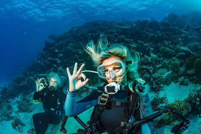 Ras Mohamed, White Island Trip, Two Stops Diving -Sharm El Sheikh - The Sum Up