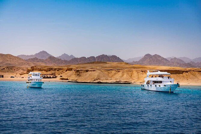 Ras Mohammed and White Island Snorkeling Sea Trip with Lunch - Introduction