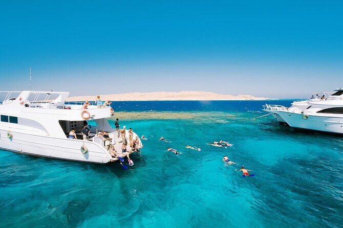 Ras Mohammed and White Island Snorkeling Sea Trip with Lunch - The Sum Up