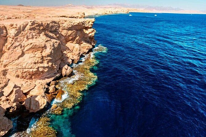 Ras Mohammed Diving & White Island Luxurious Cruise with Lunch - Key Points