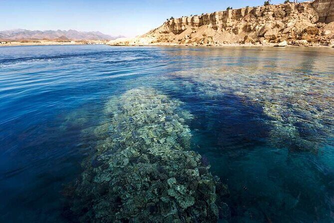 Ras Mohammed Diving & White Island Luxurious Cruise with Lunch - What Travelers Love Most