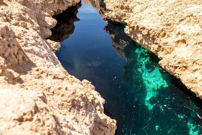 Ras Mohammed national park by bus + Snorkeling - In-Depth Review