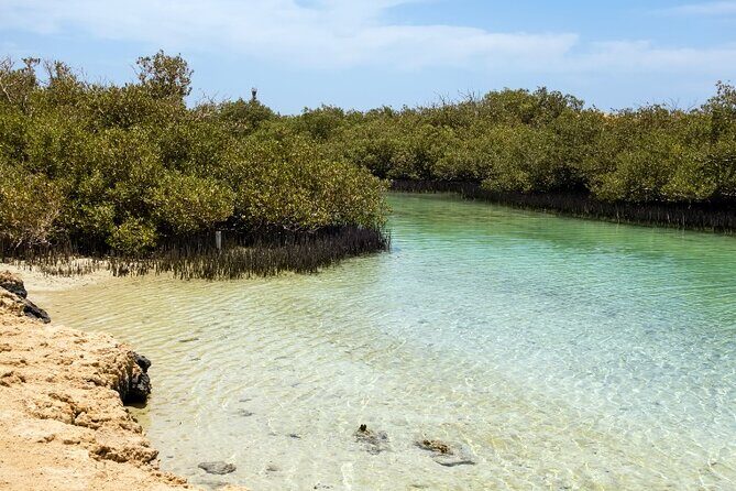 Ras Mohammed national park by bus + Snorkeling - Authentic Experiences from Reviews