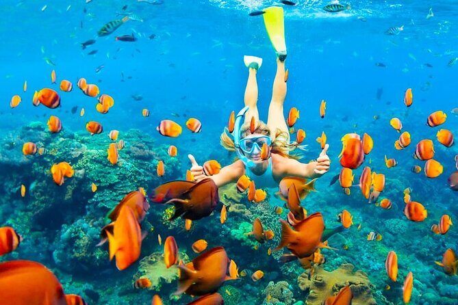 Ras Muhammed & White Island Snorkeling Sea Trip - Sharm El Sheikh - FAQ