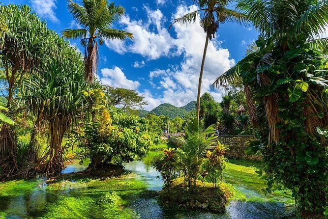 rastafari-cultural-atv-community-experience-from-montego-bay