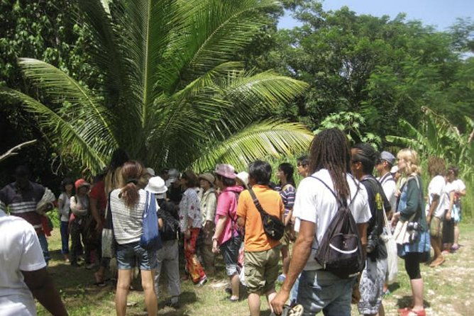 rastafari-indigenous-village-tour