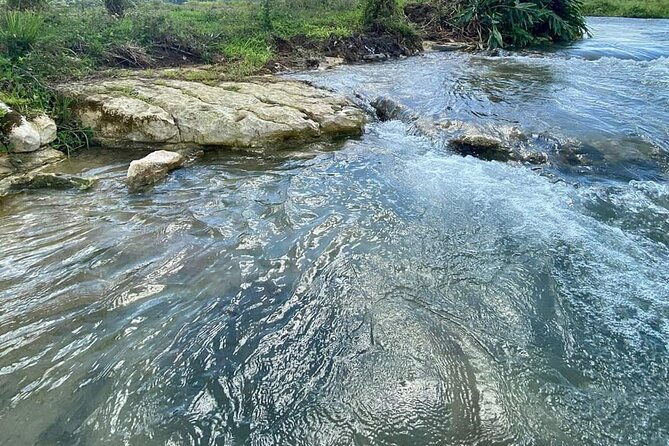 rastasafari-atv-experience