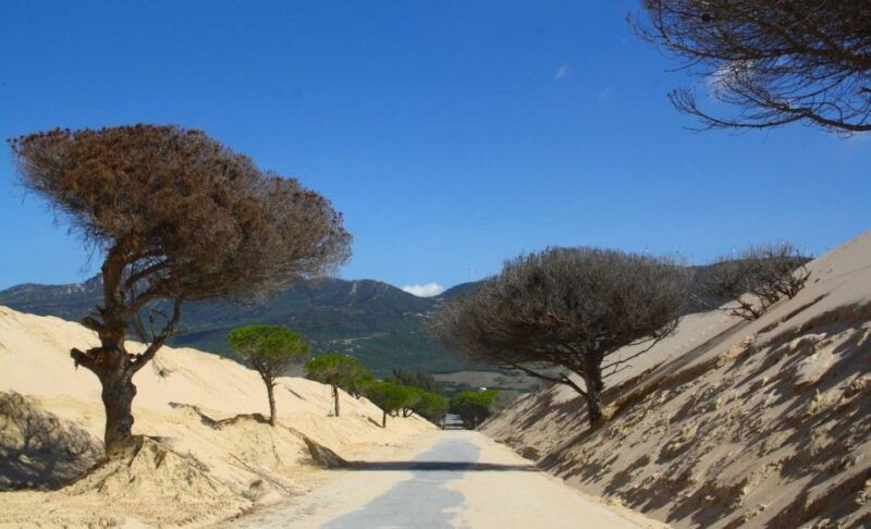 rate-ebike-rental-route-of-the-strait