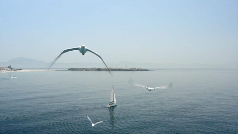 rate-sailboat-tour-snorkelling-tapas-drinks