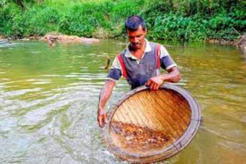 Rathnapura: Gem Market & Mining Tour from Bentota/Colombo - The Practicalities: What You Need to Know