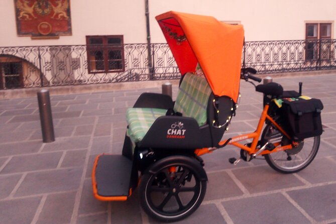 raxi-e-rickschaw-big-private-vienna-tour