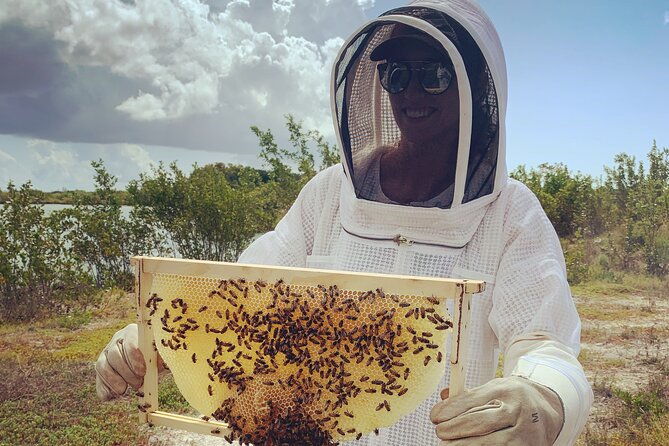 reagans-honey-beekeeping-adventure