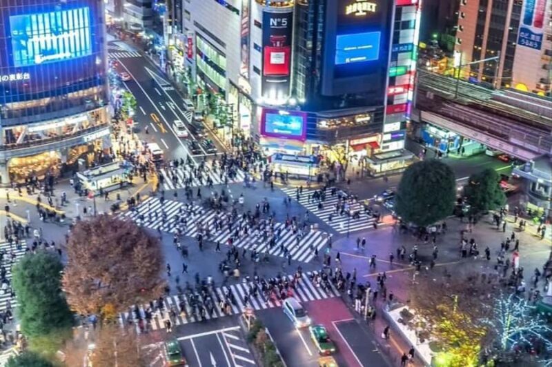 Real Anime Culture Tour in Shibuya: Food, Shopping & Game - What Makes This Tour Stand Out?