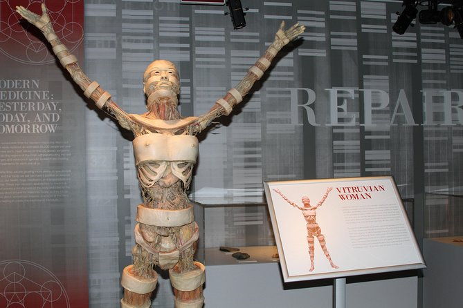 real-bodies-at-horseshoe-las-vegas-2