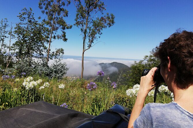 Real Life, Mountains & Sea Cliffs + Lunch + Levada walk - 6 hours - The Itinerary: From Funchal to the Mountain Highs and Sea Cliffs