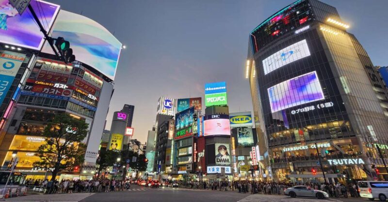 Real Tokyo in one day with a local - FAQs
