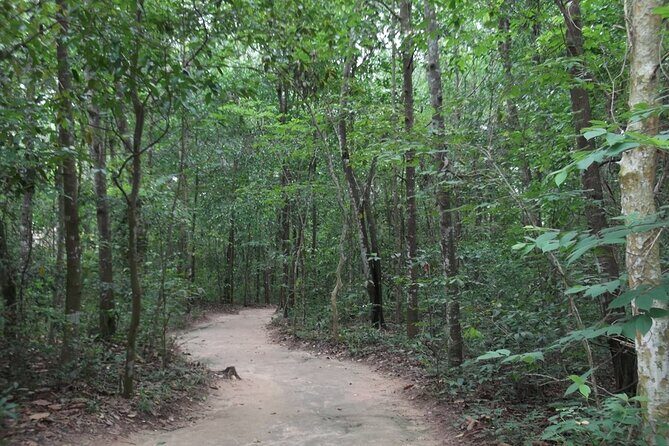 Real Tunnels-Ben Duoc Private Tour Experience 1/2 Day - Second Stop: Cu Chi Tunnels