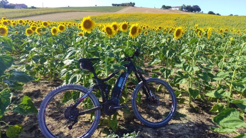 recanati-discover-the-hills-of-infinity-by-e-bike