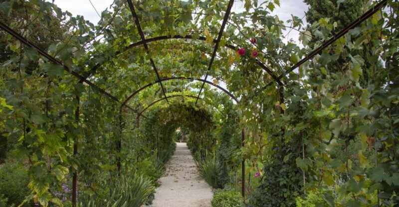 recanati-garden-on-the-hill-of-infinity-entry-ticket