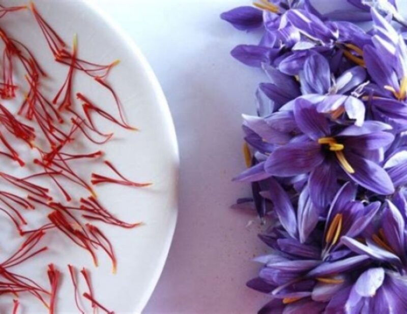 recco-cooking-class-with-market-visit-and-sea-views
