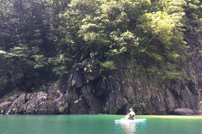 recommended-on-arrival-date-or-before-leaving-relaxing-and-relaxing-water-walk-awakawa-river-sup-half-afternoon-tour