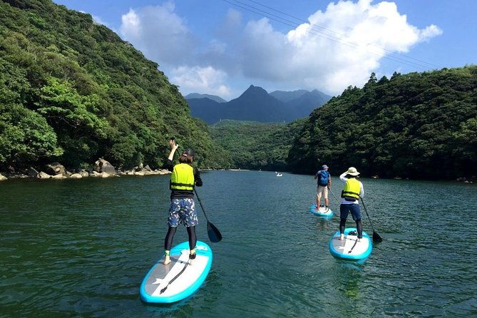 recommended-on-arrival-date-or-before-leaving-relaxing-and-relaxing-water-walk-awakawa-river-sup-half-afternoon-tour