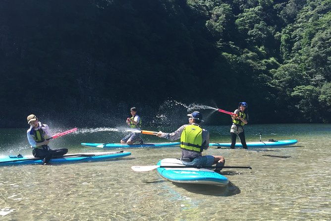 recommended-on-arrival-date-or-before-leaving-relaxing-and-relaxing-water-walk-awakawa-river-sup-half-afternoon-tour