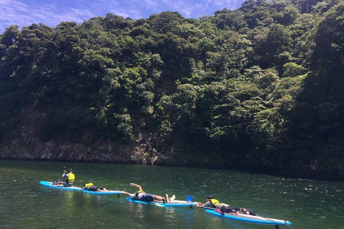 recommended-on-arrival-date-or-before-leaving-relaxing-and-relaxing-water-walk-awakawa-river-sup-half-day-tour