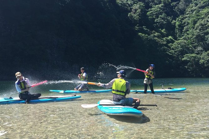 recommended-on-arrival-date-or-before-leaving-relaxing-and-relaxing-water-walk-awakawa-river-sup-half-day-tour