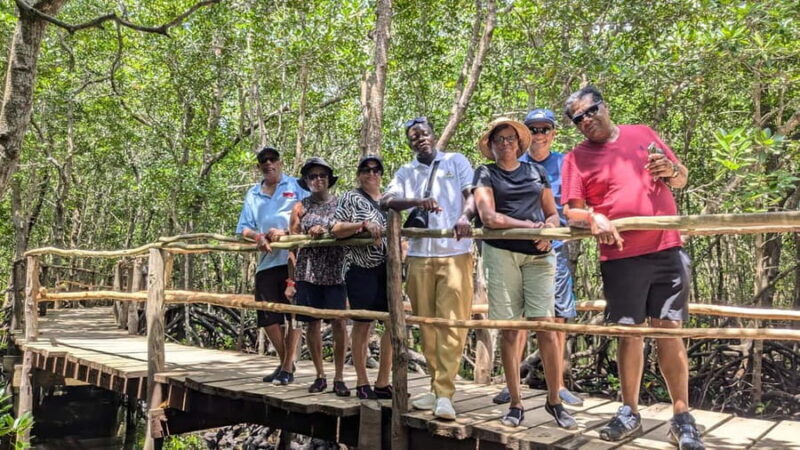 Red Colobus Monkey & Mangrove in Jozan Forest Group Tour 5+ - Final Thoughts: Is This Tour for You?