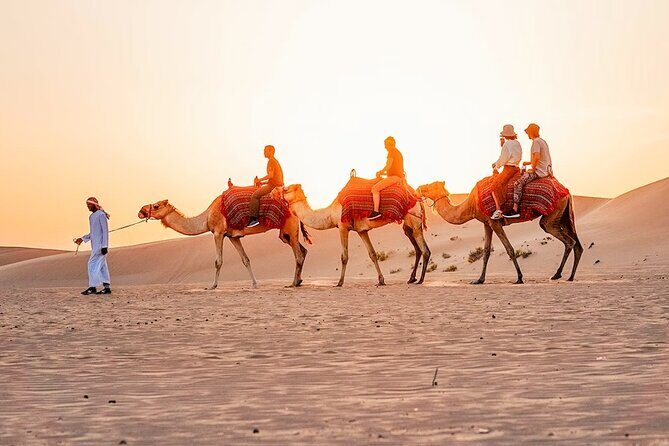 Red Desert Safari With Camel Ride & Sand Skiing - What Past Travelers Say
