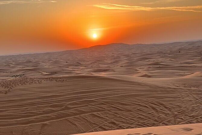Red Dune 4x4 Desert Safari with Sand Boarding & Camel (4 hr) - The Sum Up