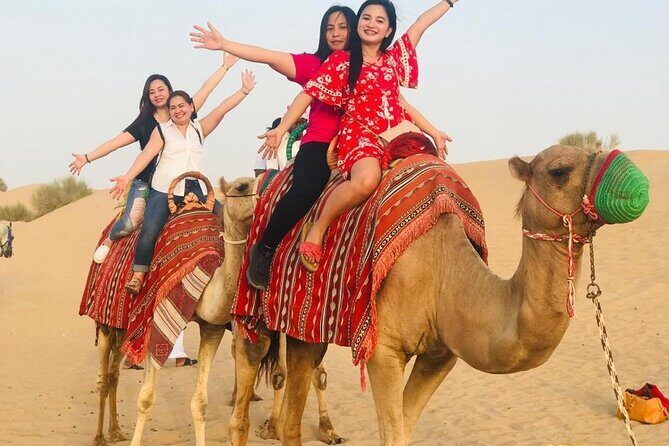 Red Dune Desert Safari Camel Ride, Sandboarding with BBQ Dinner - What to Expect from the Tour