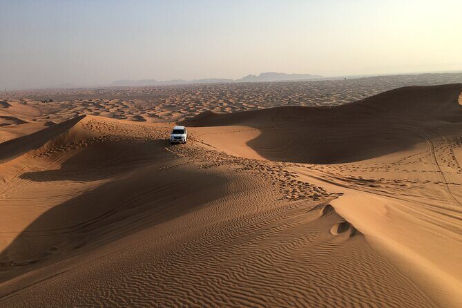 Red Dune Desert Safari Camel Ride, Sandboarding with BBQ Dinner - The Sum Up