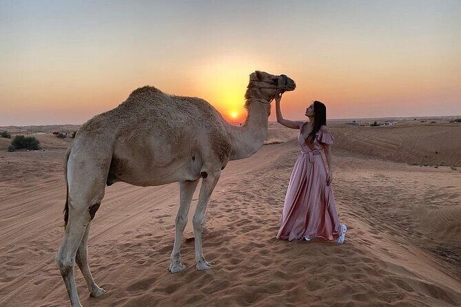 Red Dune Desert Safari with BBQ Dinner - Introduction to the Experience
