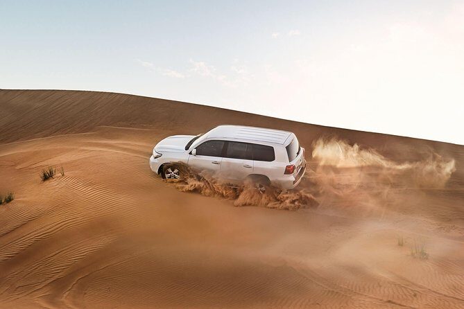 Red Dune Desert Safari with BBQ Dinner, Sand Boarding Dance Shows - Discovering the Desert: An In-Depth Look at the Itinerary