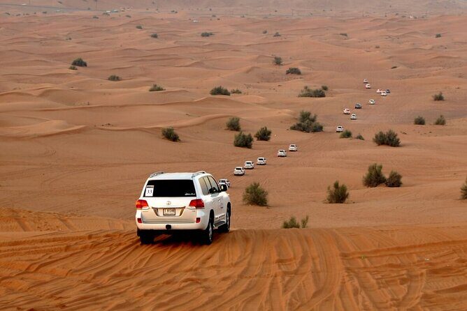 Red Dune Evening Desert Safari with Sandbashing and BBQ Dinner - Who Will Enjoy This Tour?