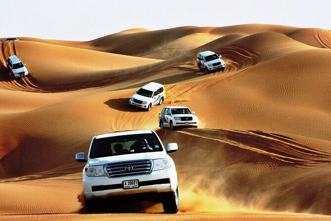 Red Dune Safari with 4x4 Pick up and Camel Ride plus BBQ - Key Points