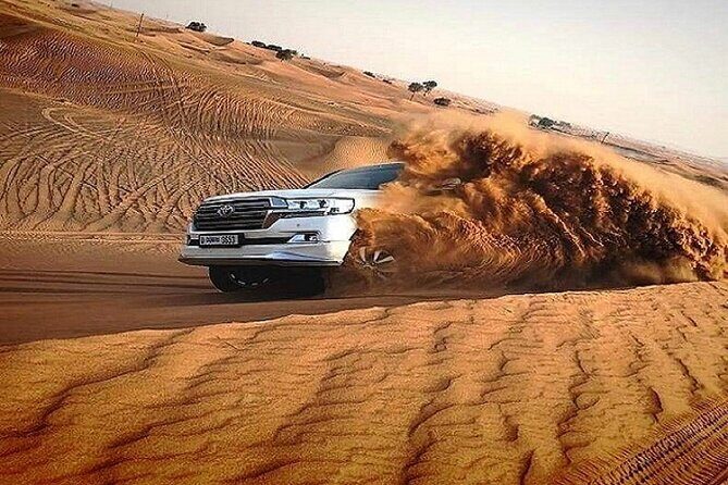 Red Dunes 4x4 Dubai Desert Safari - What to Expect on the Tour