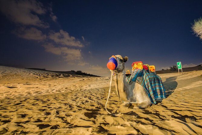 Red Dunes Desert Safari with BBQ Dinner - Key Points