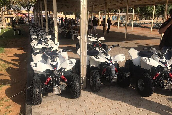 Red Dunes Desert Safari with Buffet Dinner and Sand Boarding - Duration and Overall Experience