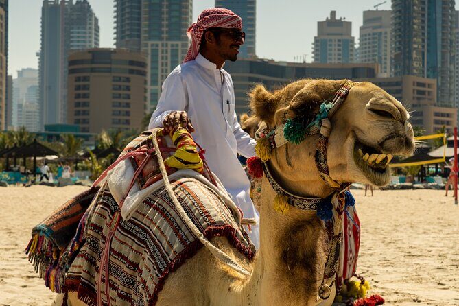 Red Dunes Quad Bike Safari, Sand surf, Camels and BBQ - Key Points