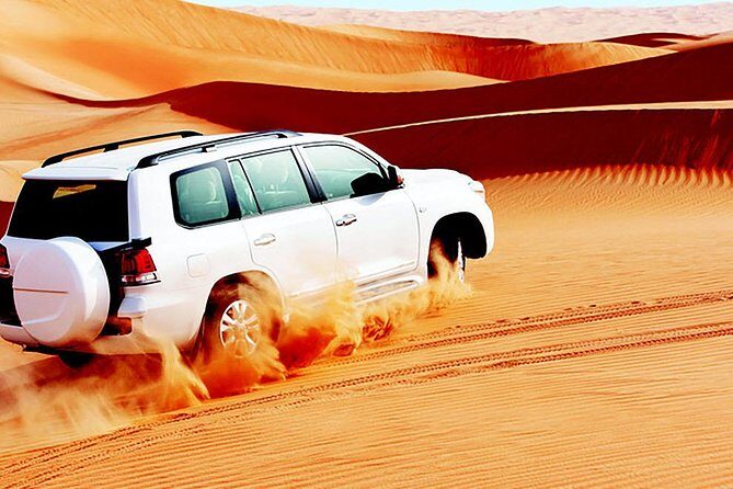 Red Dunes Safari with BBQ dinner, Falcon and Camel Ride - The Itinerary: What to Expect