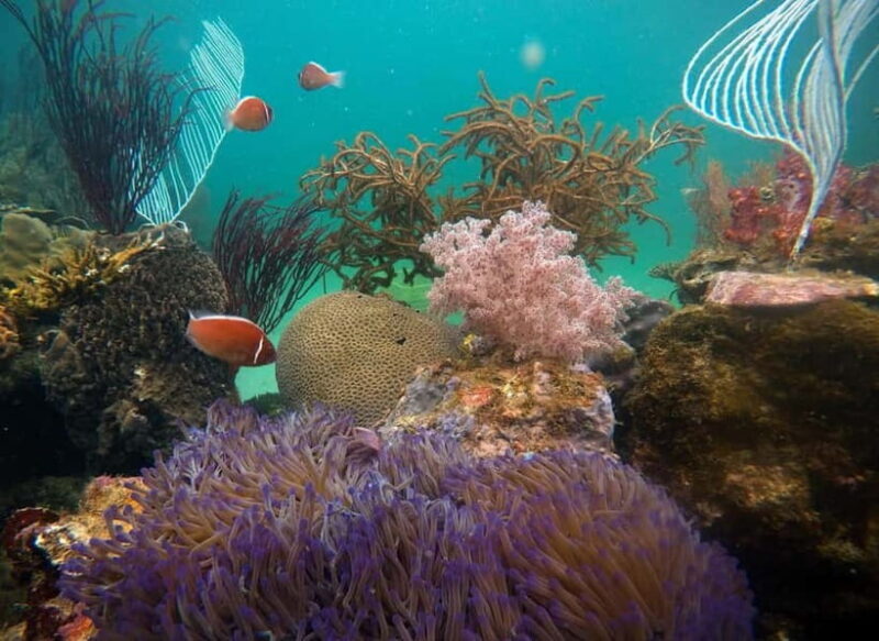 Red River Tours - Sea Walking Experience in Phu Quoc - Overall Value & Experience